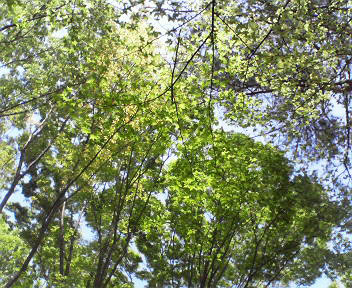 b0246533_21461827.jpg