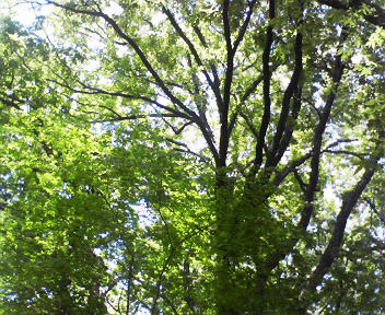 b0246533_22155886.jpg