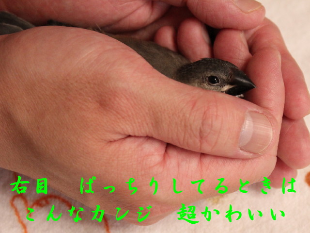 c0365734_21544371.jpg