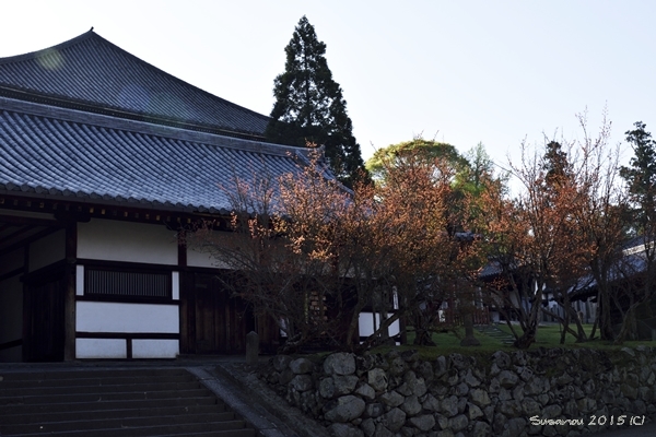 a0212036_08380168.jpg