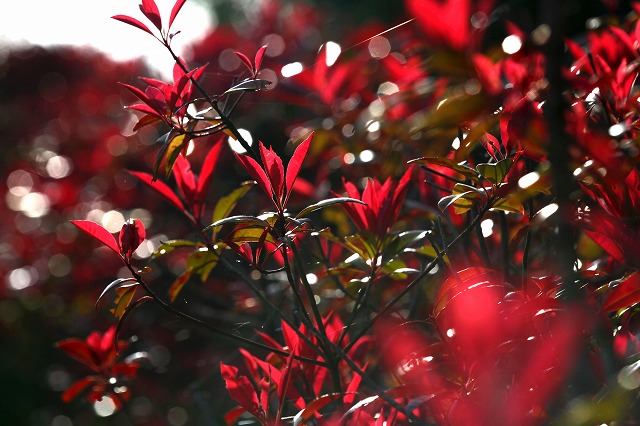 a0242438_18285036.jpg