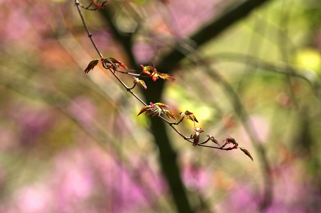 a0242438_18333177.jpg