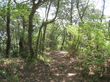 c0077338_2024116.jpg