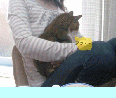 e0255638_1522516.gif