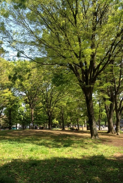 f0157538_21291955.jpg