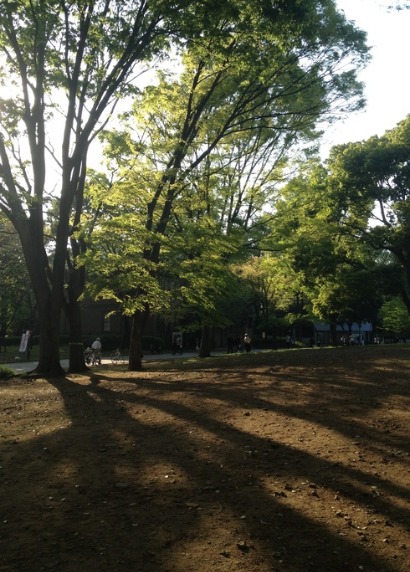 f0157538_21311280.jpg