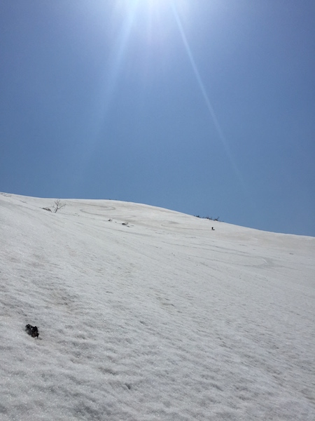 d0231339_20513462.jpg