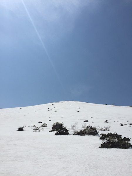 d0231339_2051795.jpg