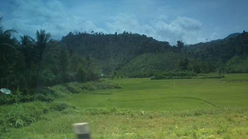 f0235252_16471450.jpg