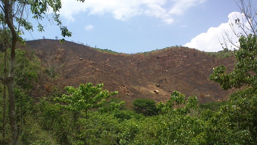 f0235252_16531894.jpg