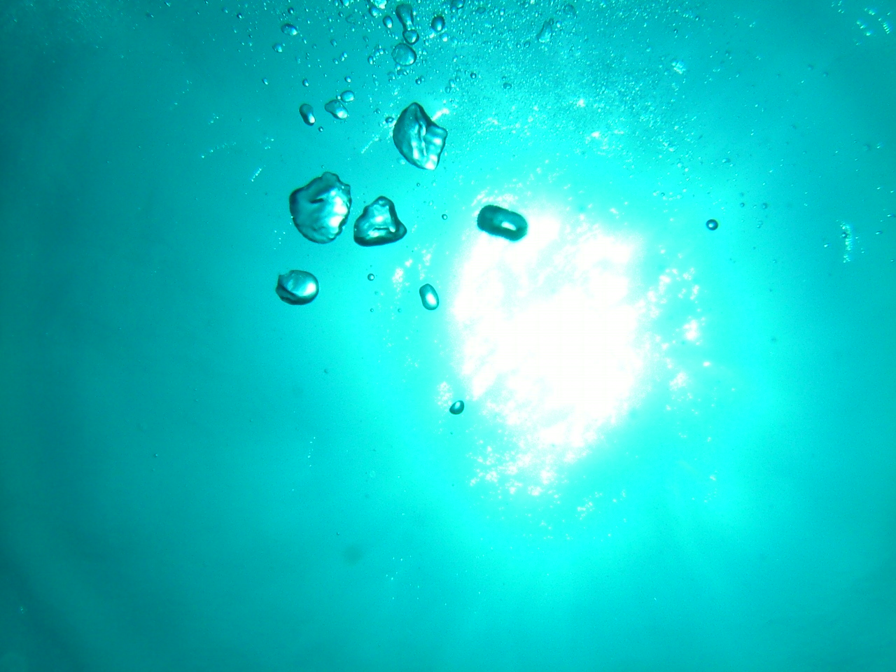 a0031454_18164115.jpg