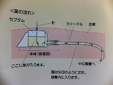 e0028056_0281658.jpg