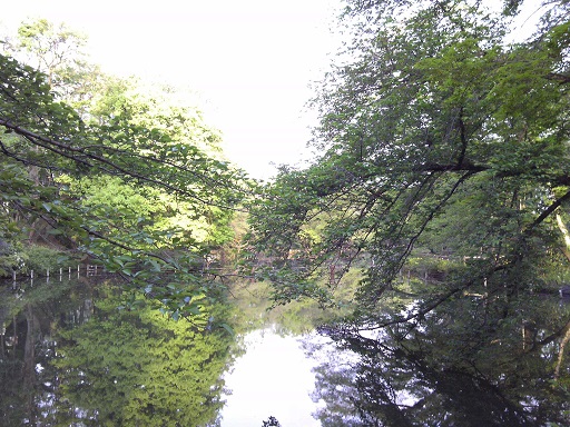 f0055956_98857.jpg