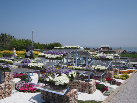 b0246758_20250458.jpg
