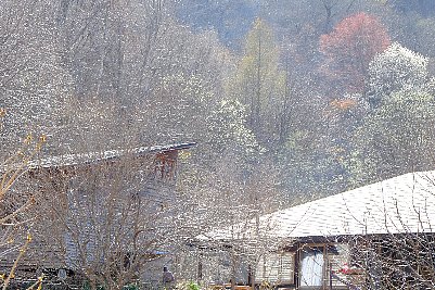 f0035962_11155267.jpg