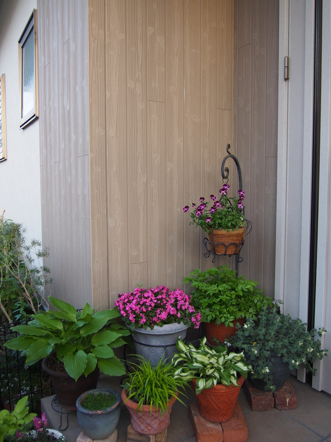 b0194267_19311590.jpg