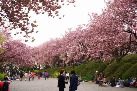 e0045768_222998.jpg