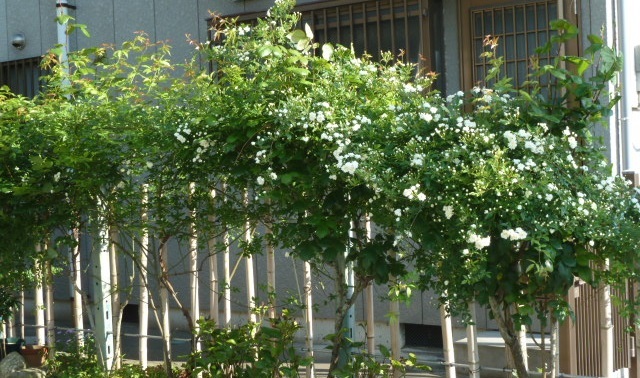 e0278968_21104641.jpg