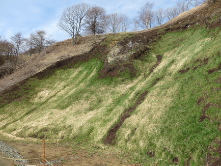 e0081170_14112157.jpg