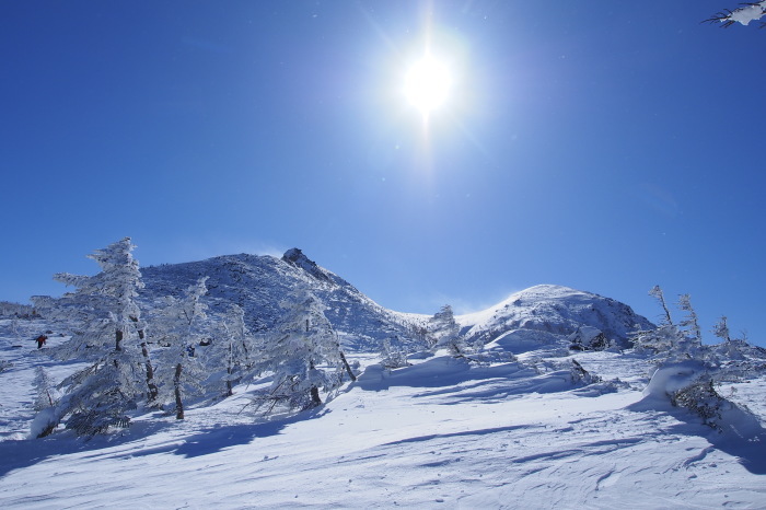 e0307372_16461340.jpg