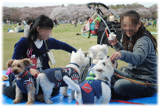 b0242873_23212880.png