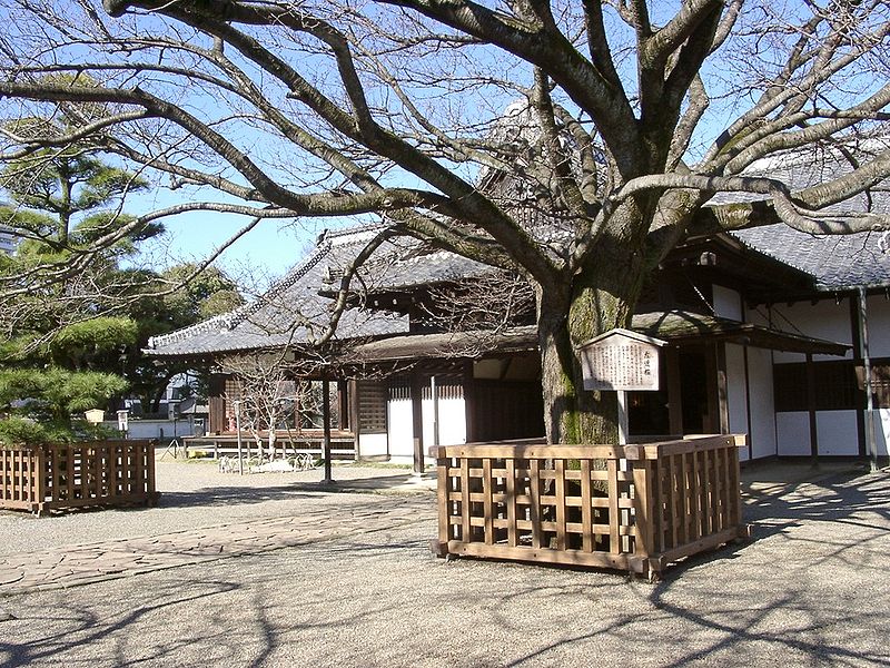 d0061579_9391888.jpg