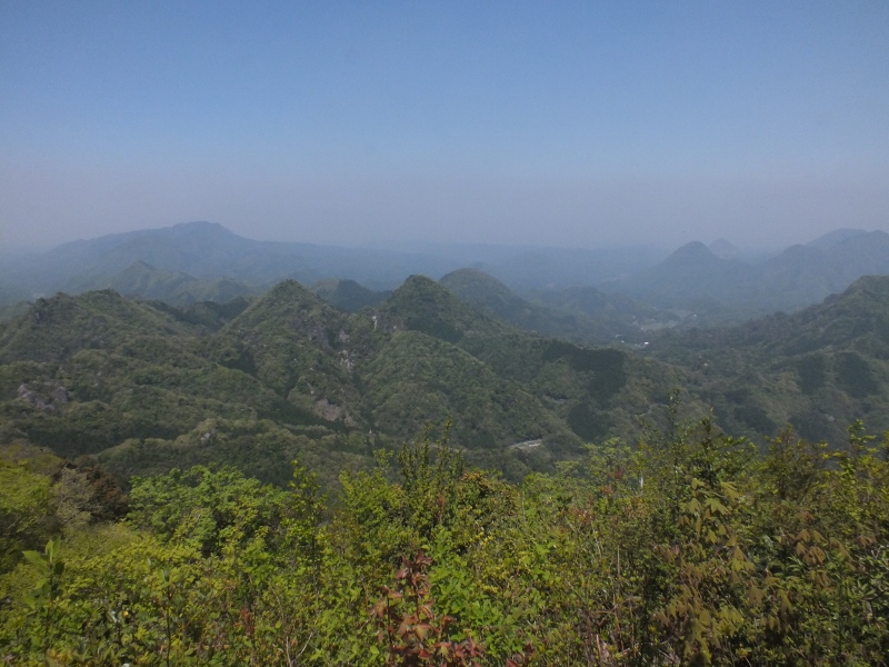 f0082181_8351675.jpg