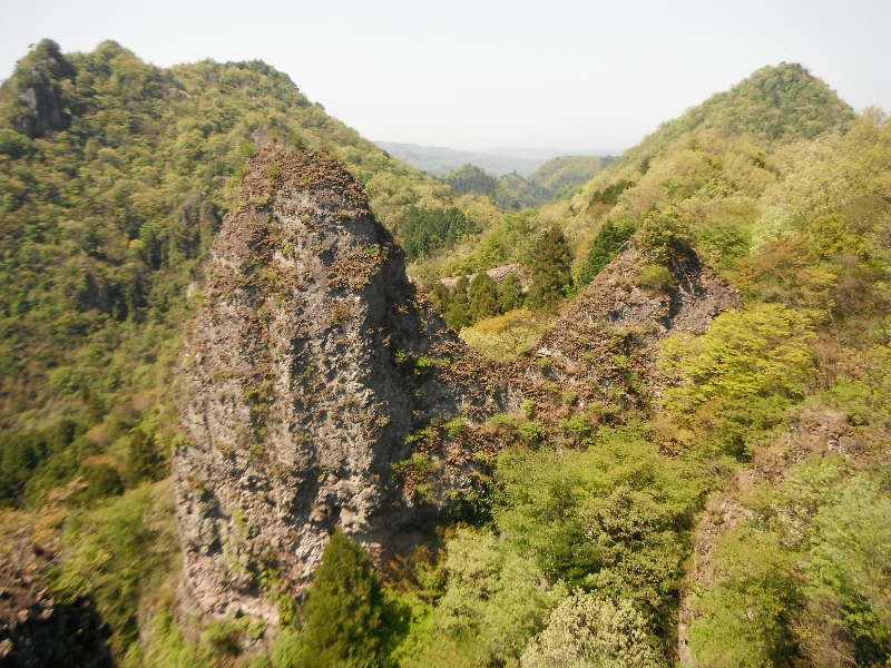 f0082181_837660.jpg