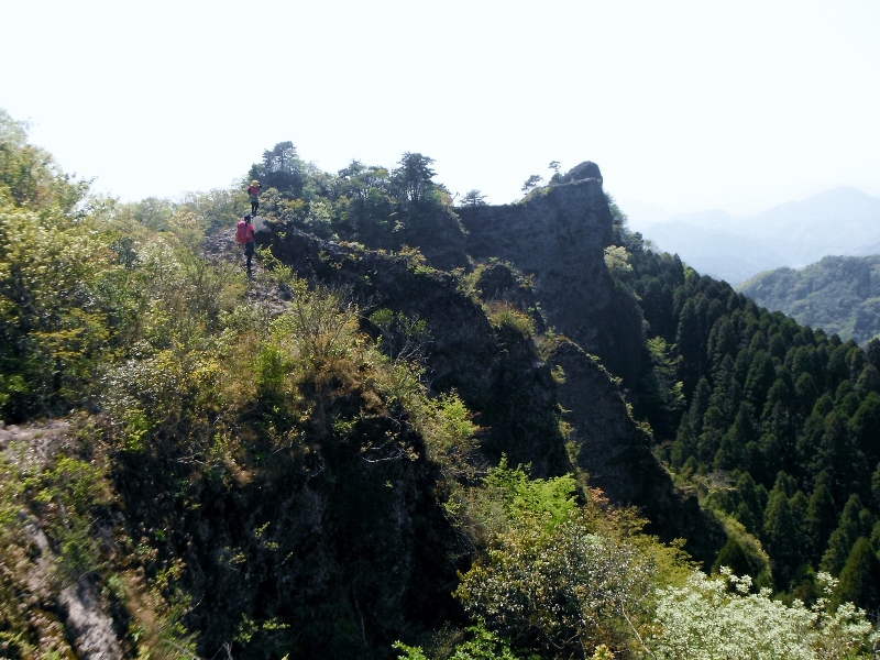 f0082181_8391290.jpg