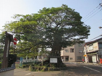 f0003283_09173584.jpg