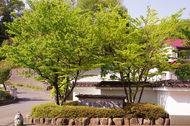 f0169884_20221479.jpg