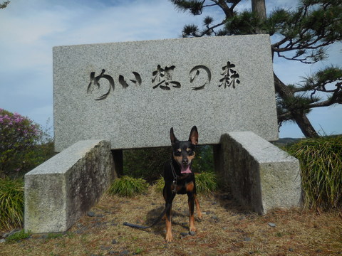 c0195787_20101457.jpg
