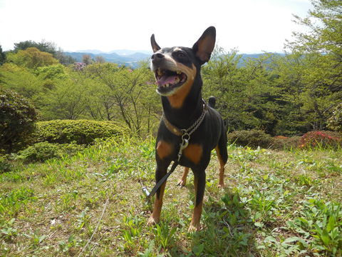 c0195787_20411650.jpg