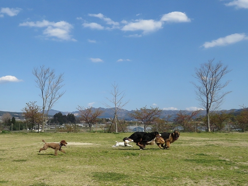 b0135889_01343405.jpg