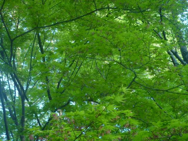 e0326699_23413835.jpg