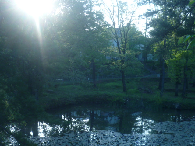 e0326699_23532825.jpg