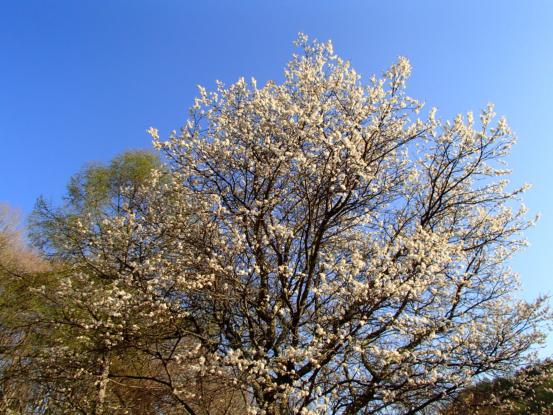 f0064906_16254237.jpg