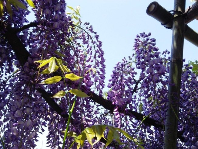 e0033713_18190244.jpg