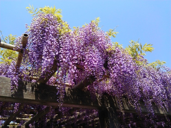 e0033713_18200703.jpg