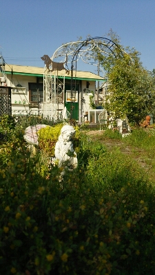 e0151420_1614537.jpg