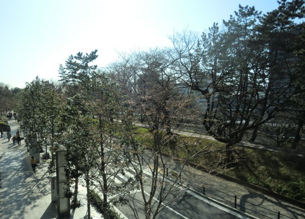 c0095424_14394768.jpg