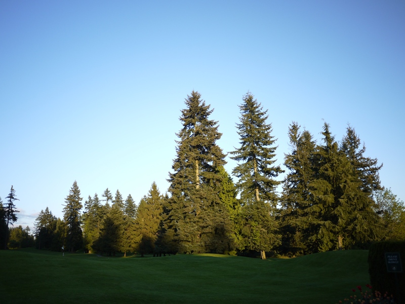 b0221428_244661.jpg