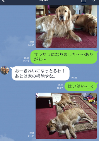 b0127531_8195138.png