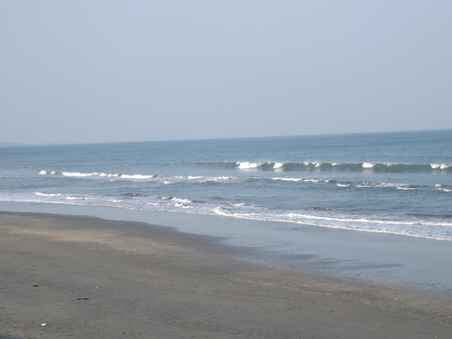 f0248337_1659244.jpg