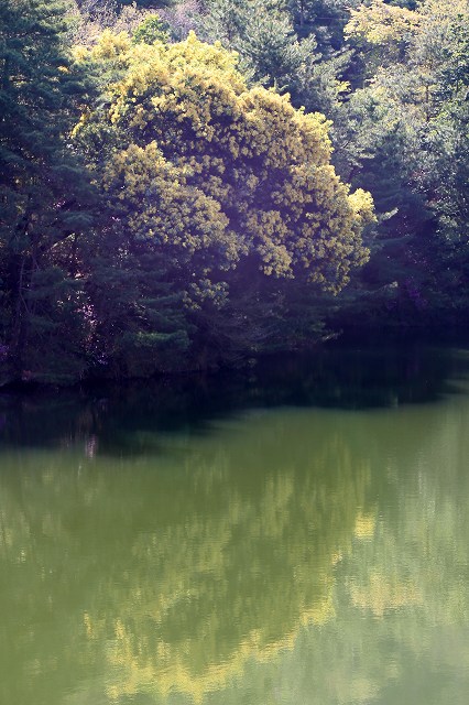 a0242438_18291551.jpg