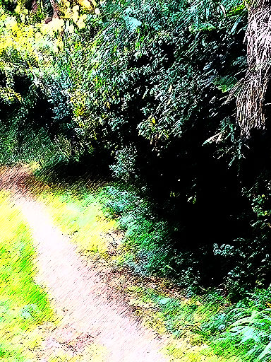 c0032138_1873216.jpg
