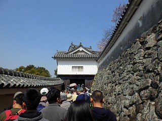 c0180339_22343018.jpg