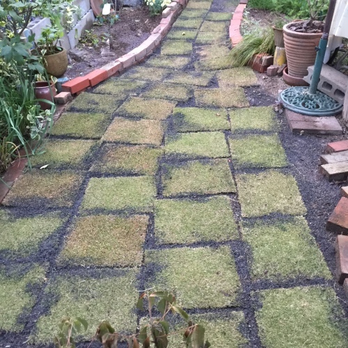 f0343739_10513737.jpg