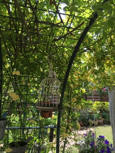 f0343739_16594173.jpg
