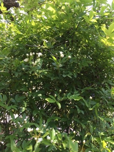 f0343739_17011259.jpg